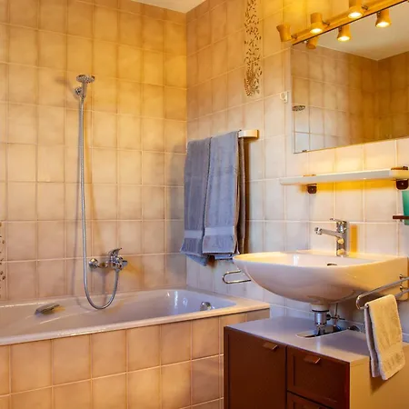 Alexandre 韦尔比耶