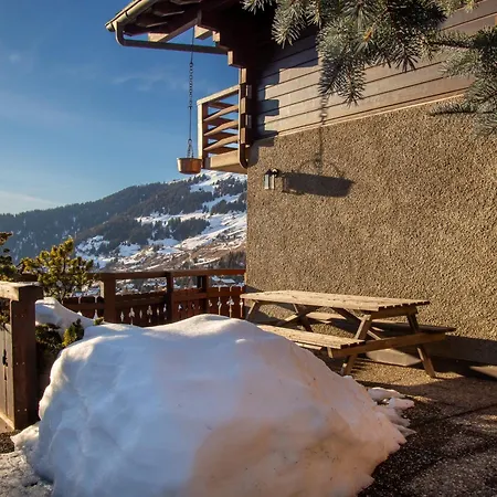 Alexandre 韦尔比耶